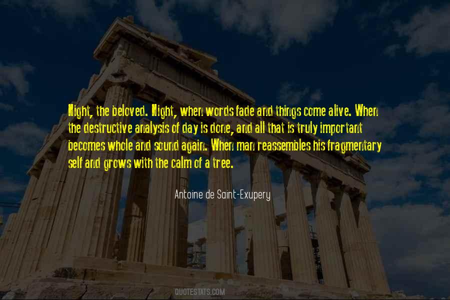 Fragmentary Quotes #1079088