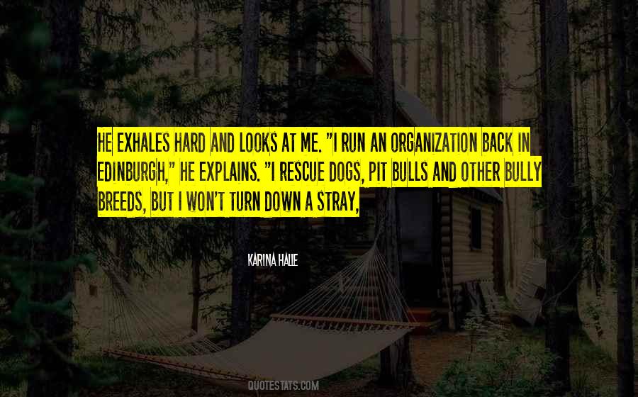 I Turn Back Quotes #802380