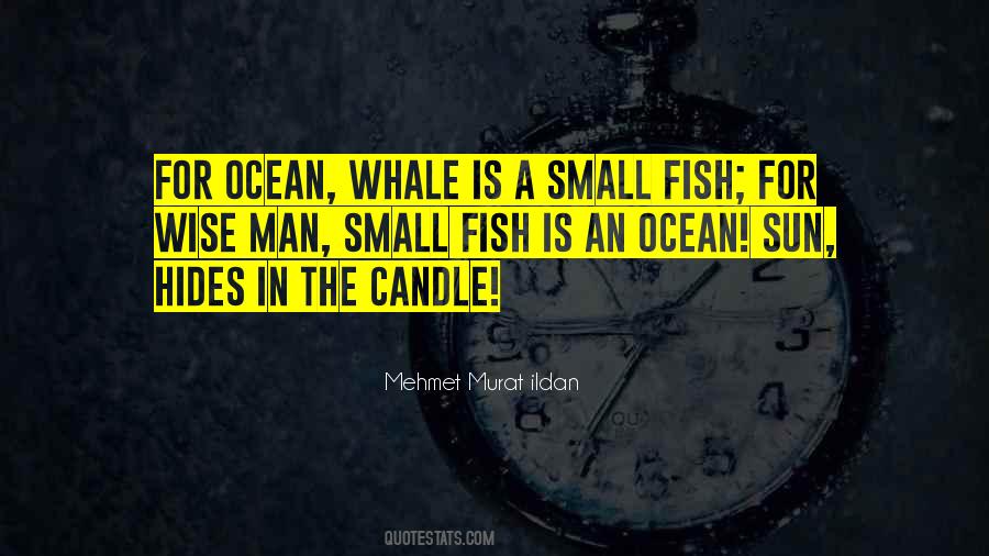 Ocean Sun Quotes #1578800