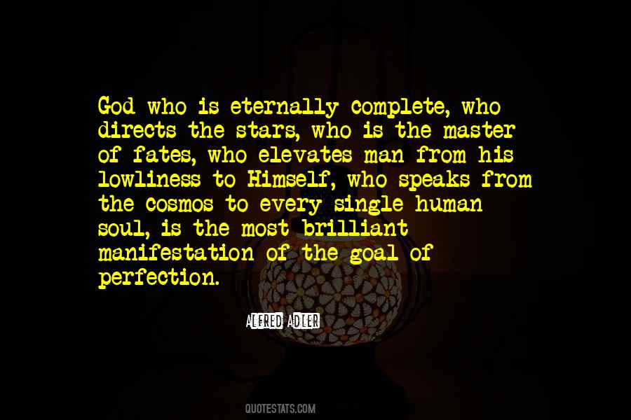 Goal Is Perfection Quotes #861865