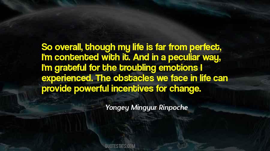 My Life Is Far From Perfect Quotes #1469718