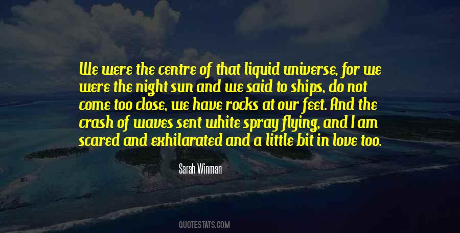 Love And The Universe Quotes #337011