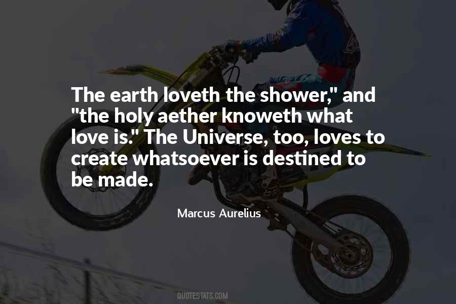 Love And The Universe Quotes #429698