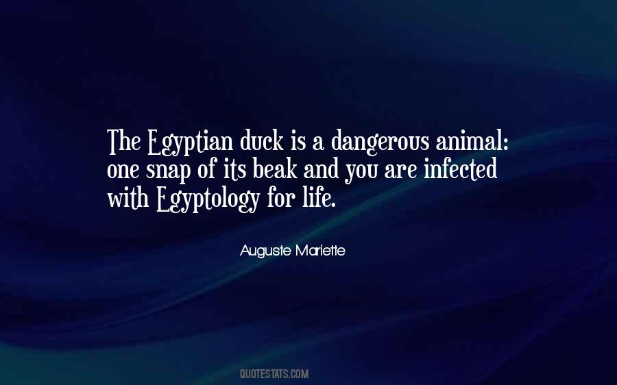 Dangerous Animal Quotes #278476
