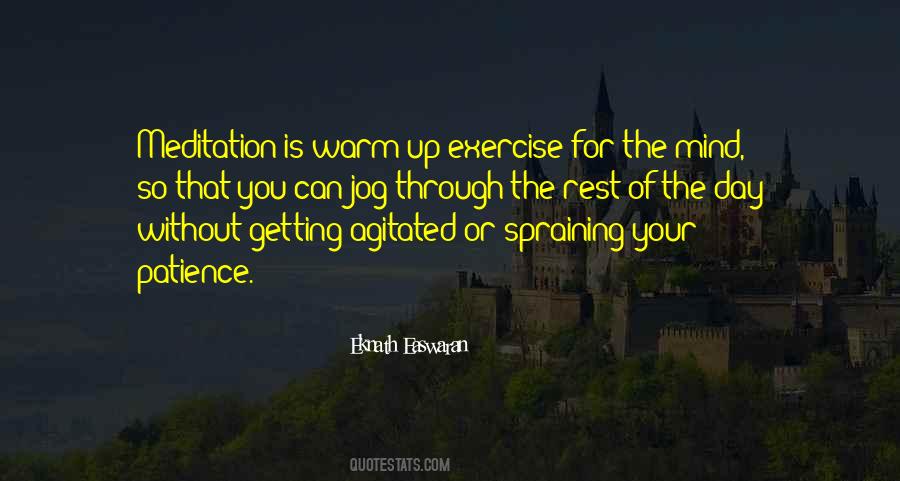 Just Getting Through The Day Quotes #1180598