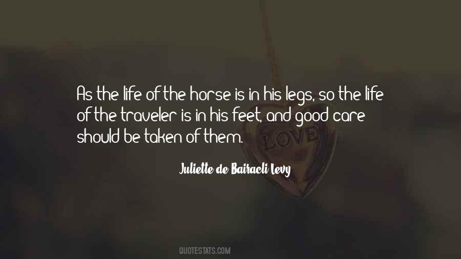 Horse Care Quotes #210292