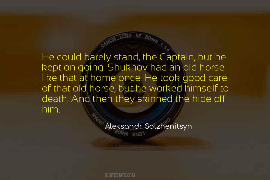 Horse Care Quotes #468353