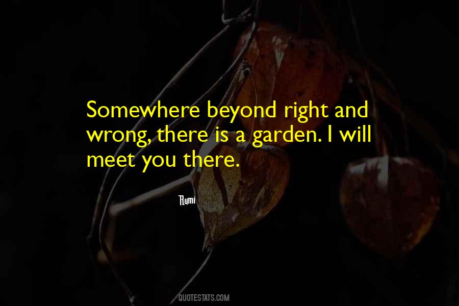 Beyond What Is Right And Wrong Quotes #1489772