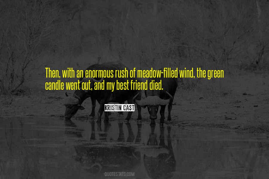 My Friend Died Quotes #1244248