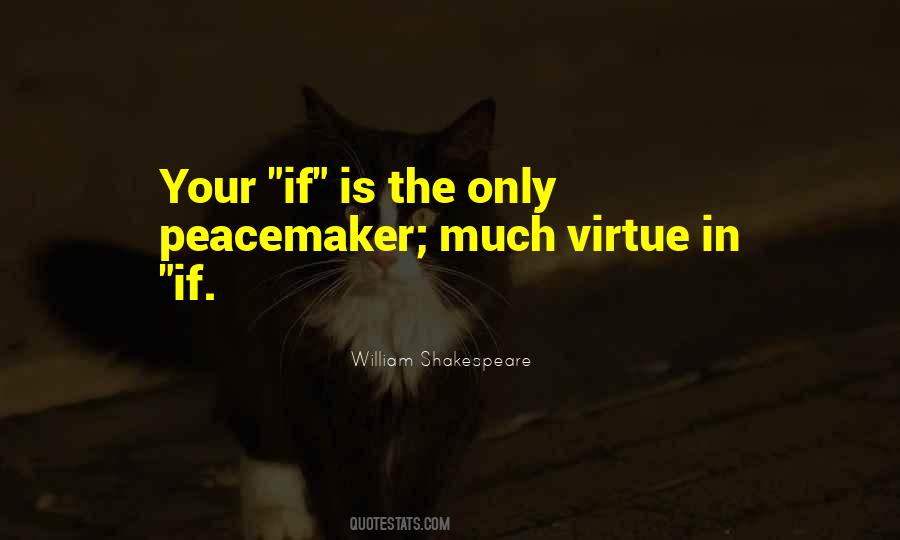 The Peacemaker Quotes #738858