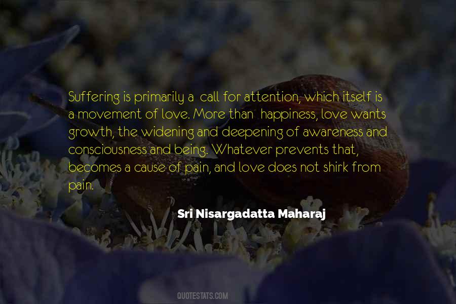 Quotes About Happiness And Pain #14773