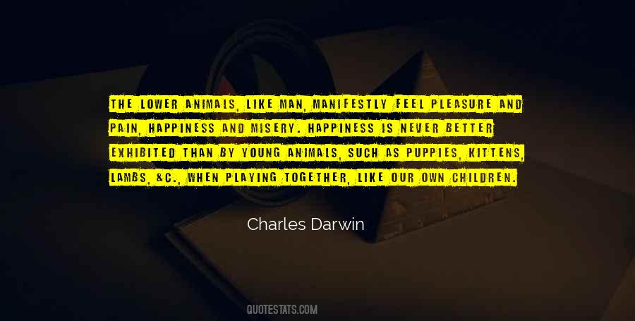 Quotes About Happiness And Pain #366073