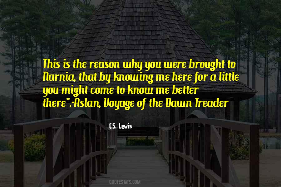 Knowing The Why Quotes #173953