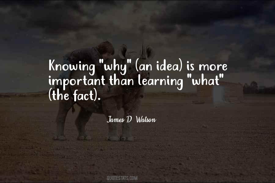 Knowing The Why Quotes #568202