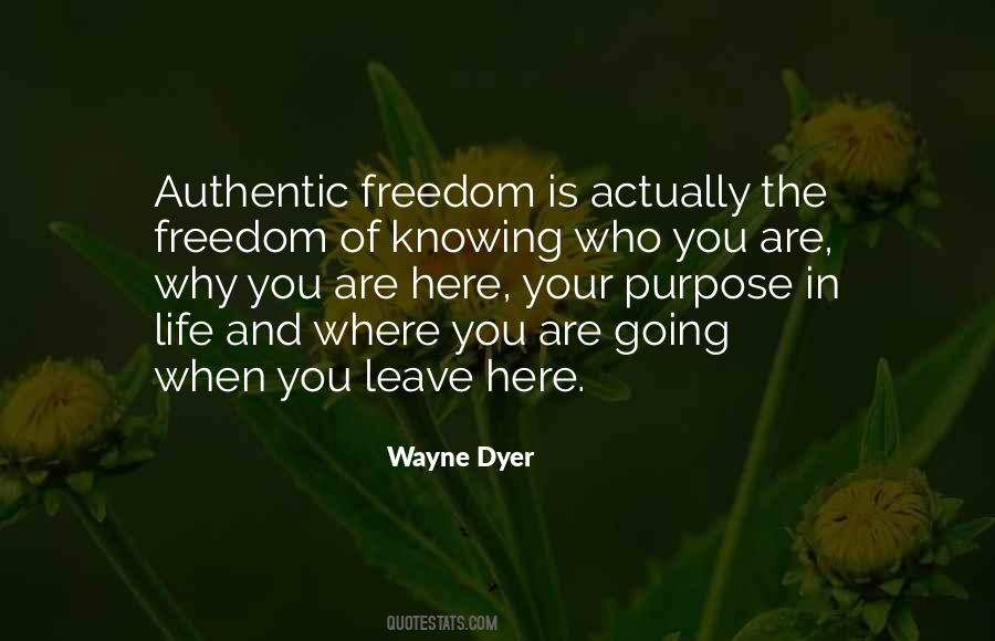 Knowing The Why Quotes #974598