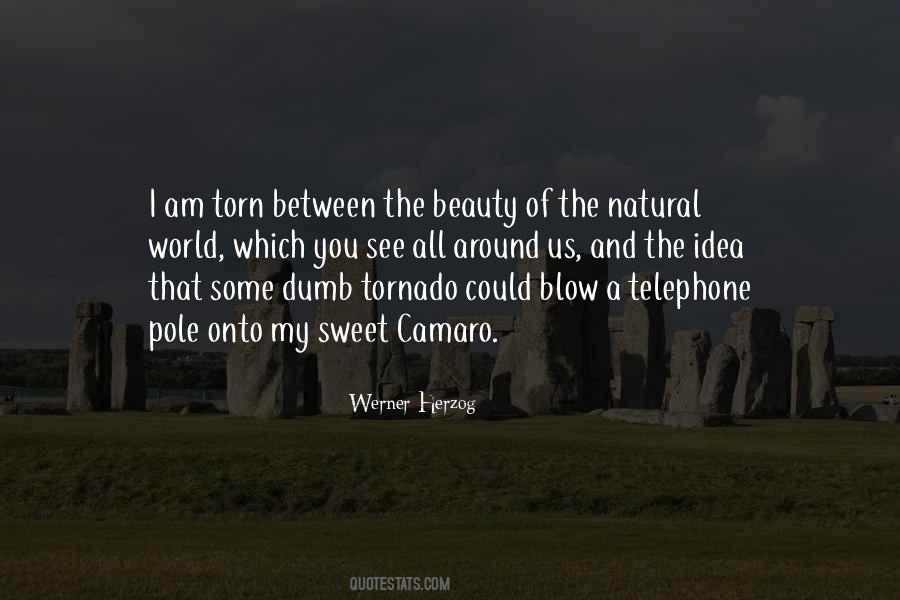 I Am Sweet Quotes #363402