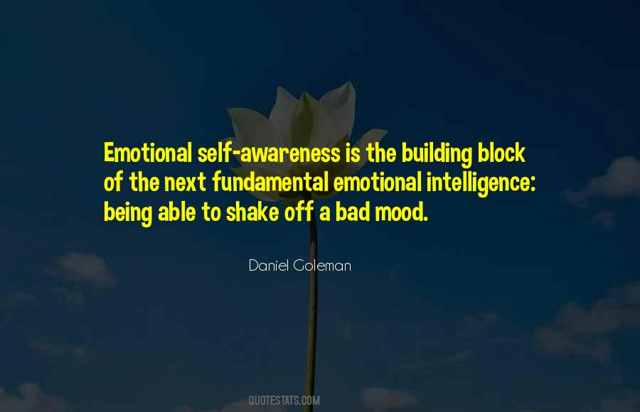 Emotional Self Awareness Quotes #679443