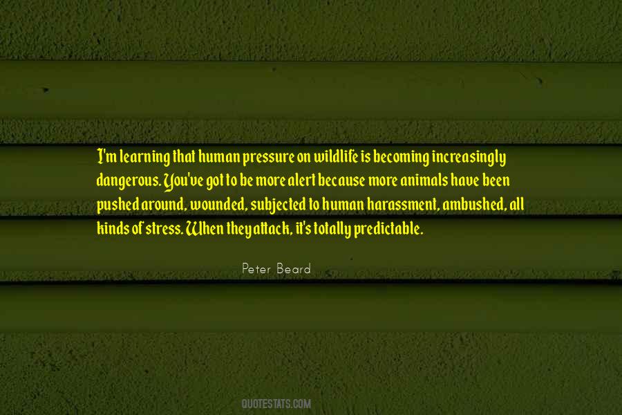 Quotes About Human Stress #1195367