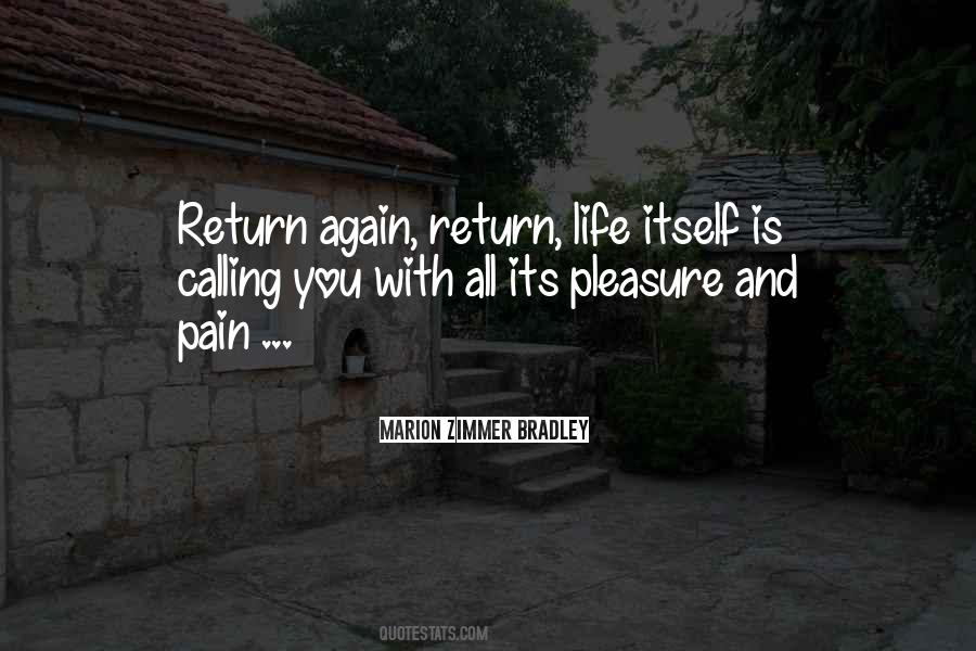 Pain Again Quotes #387674