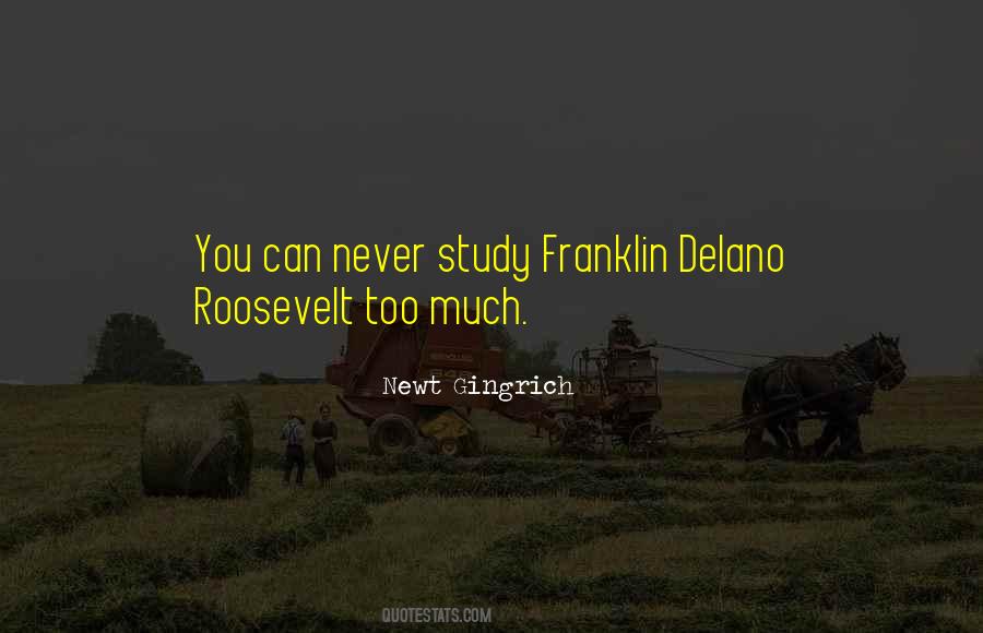 Franklin Delano Quotes #638942