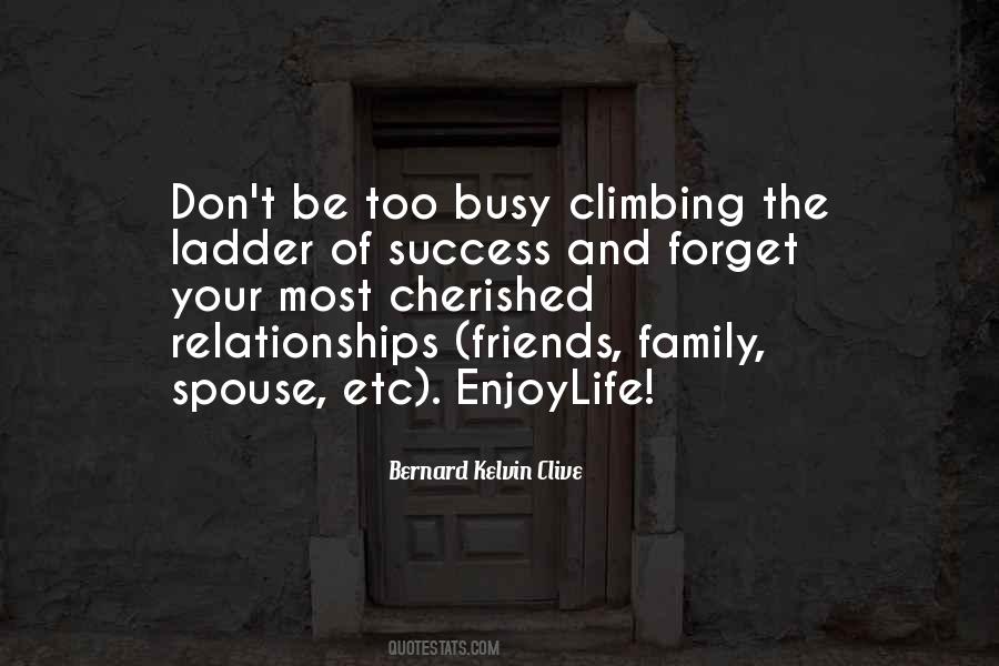 Climbing The Ladder Of Life Quotes #548866
