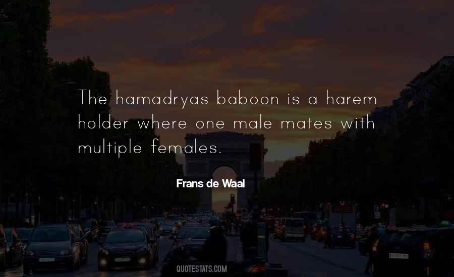 Frans Quotes #375293