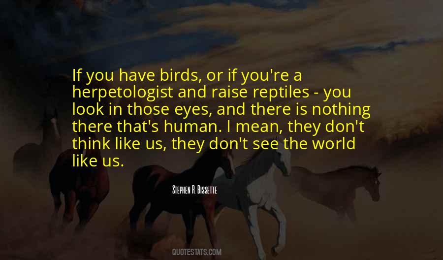 If You Have Eyes Quotes #552458