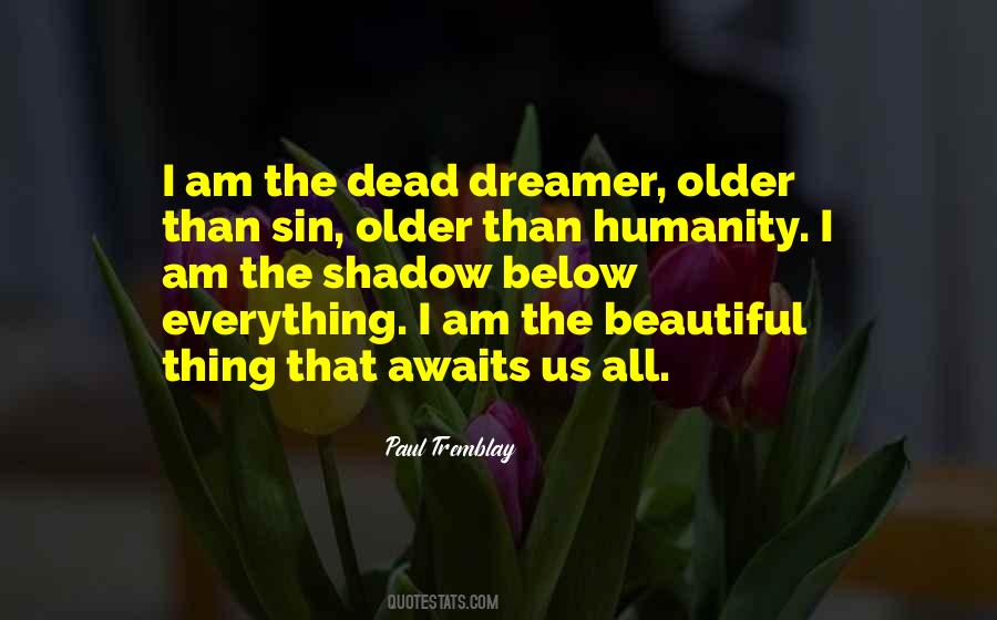 Beautiful Shadow Quotes #572691