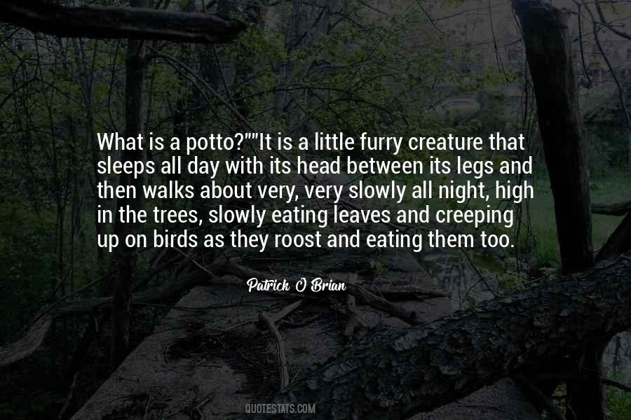 What Its All About Quotes #80458