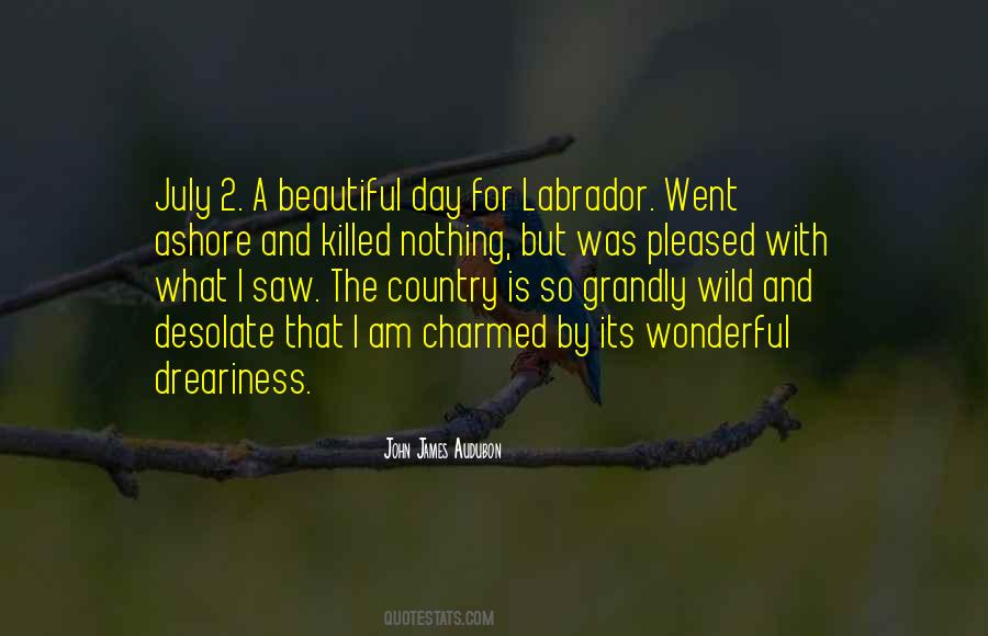 Its A Beautiful Day Quotes #353008