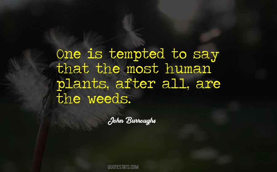 Garden Plants Quotes #482845