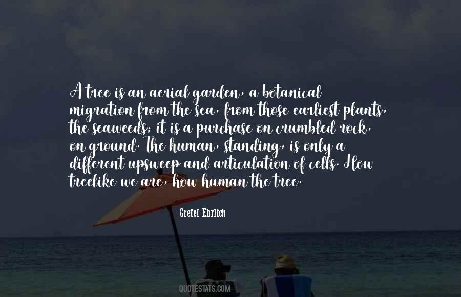 Garden Plants Quotes #906684