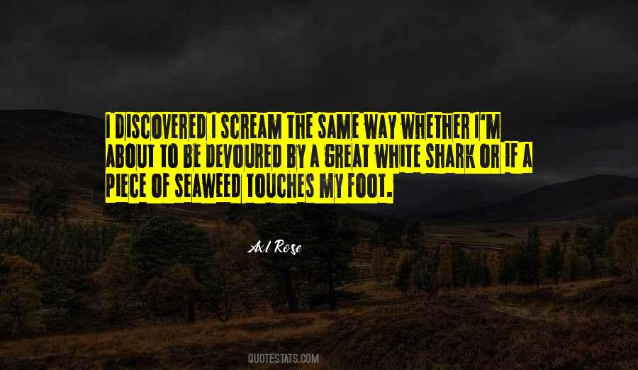Be A Shark Quotes #1078337