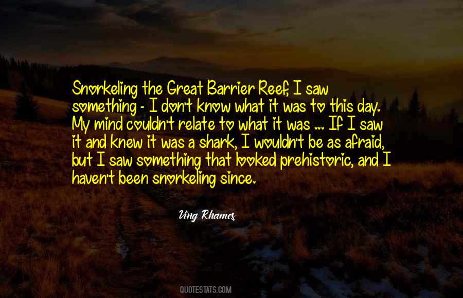 Be A Shark Quotes #1527775