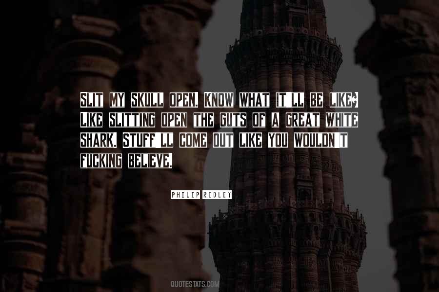 Be A Shark Quotes #1876750