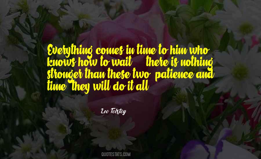 Patience Is Everything Quotes #1306918