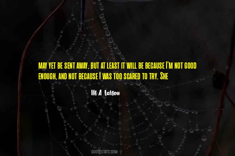 I May Not Be Good Enough Quotes #351554