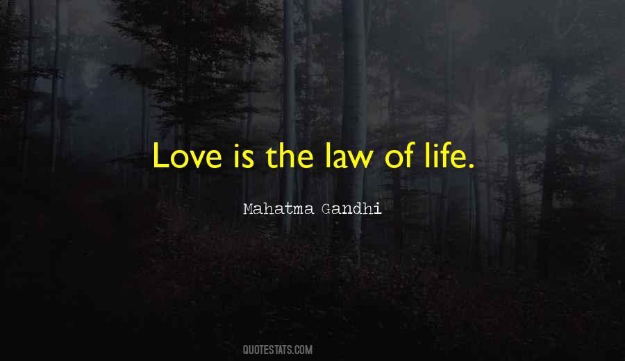 Love Is The Law Quotes #1248036