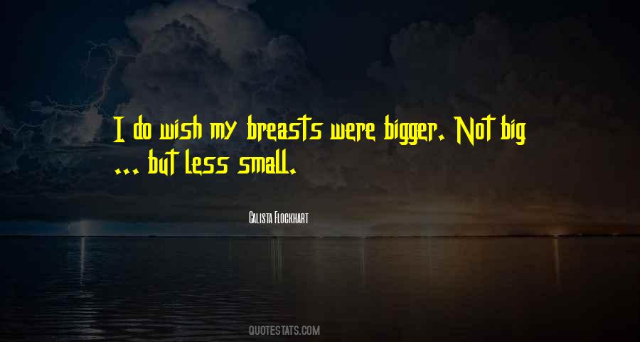 Small But Big Quotes #323813