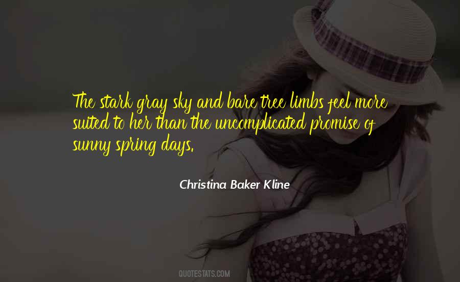 Quotes About The Gray Sky #1028119