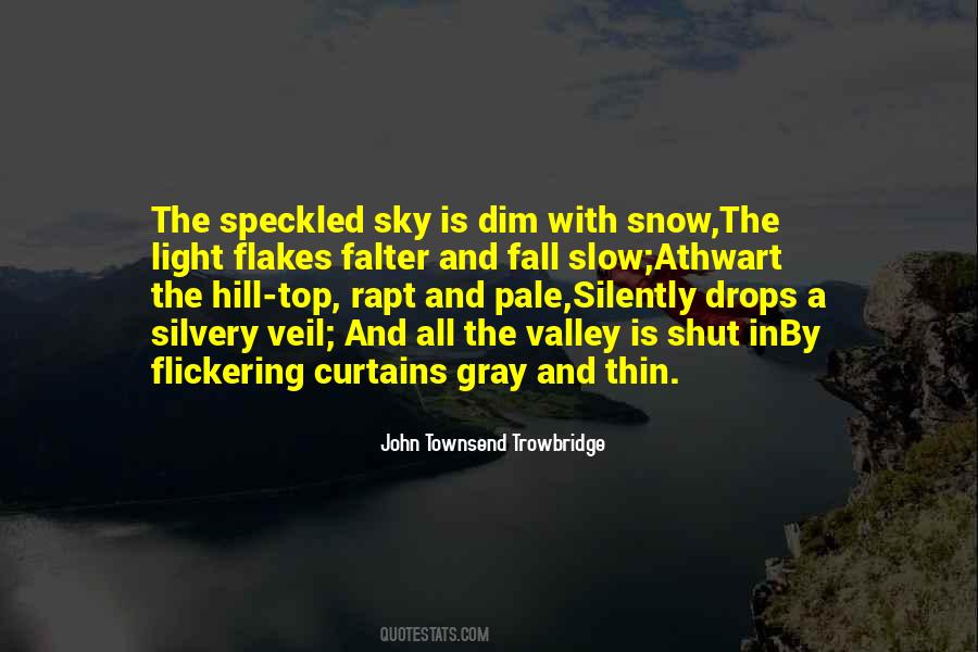 Quotes About The Gray Sky #1121817