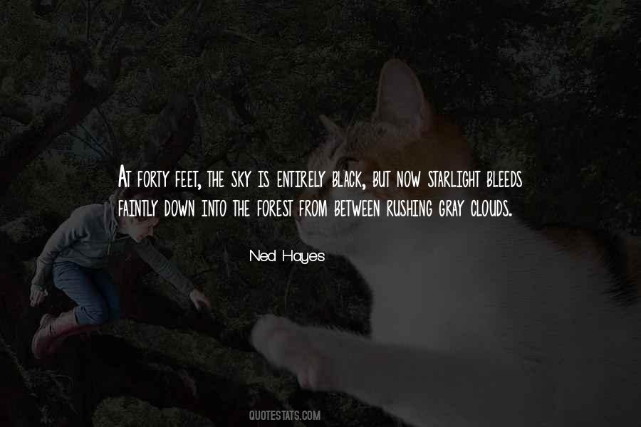 Quotes About The Gray Sky #1221684