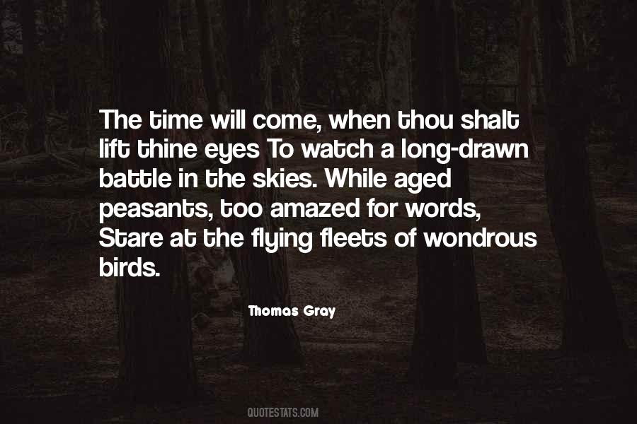 Quotes About The Gray Sky #1268938