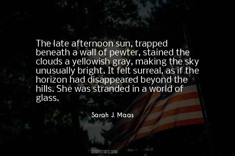 Quotes About The Gray Sky #1506830