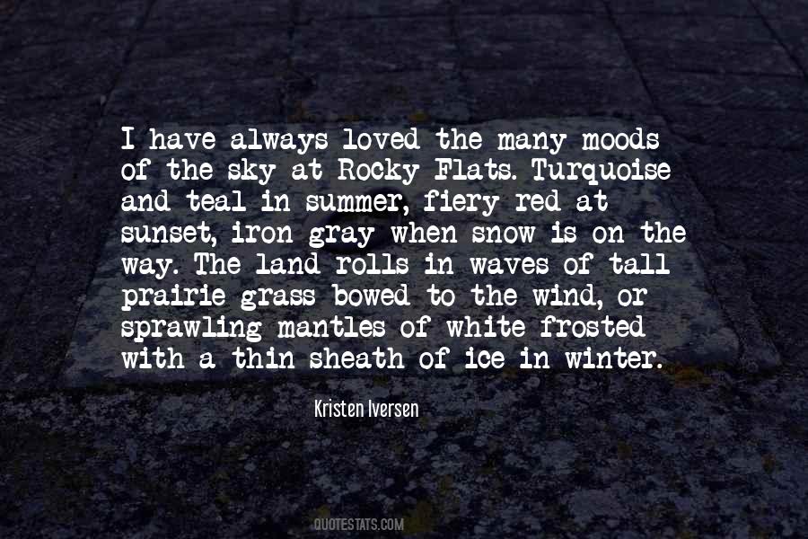 Quotes About The Gray Sky #1641256