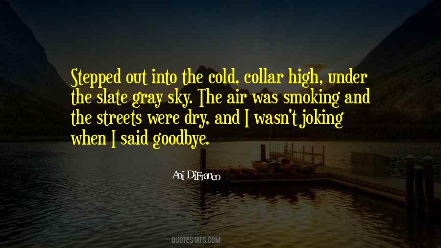 Quotes About The Gray Sky #1708689