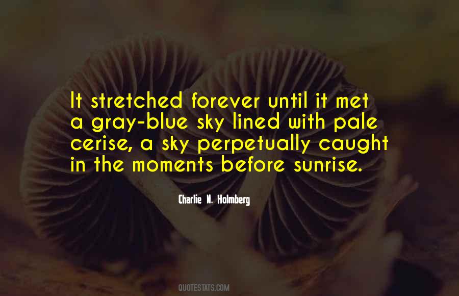 Quotes About The Gray Sky #1868955