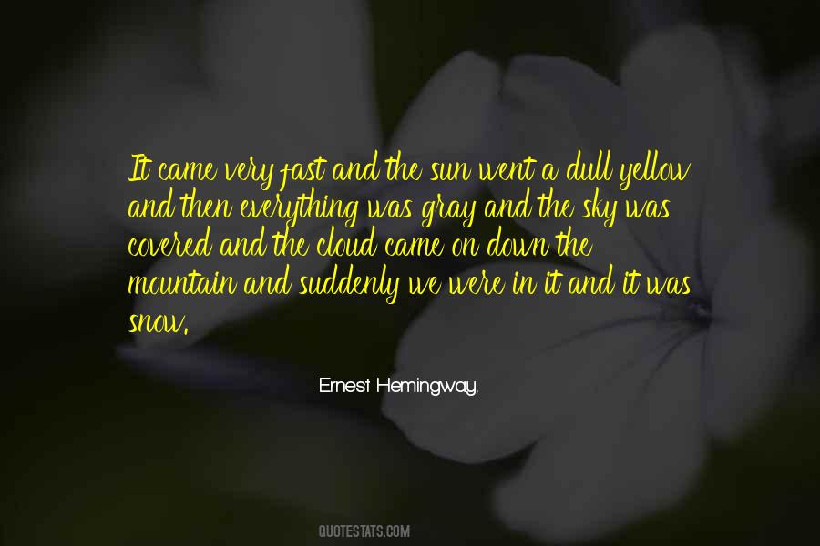 Quotes About The Gray Sky #855383
