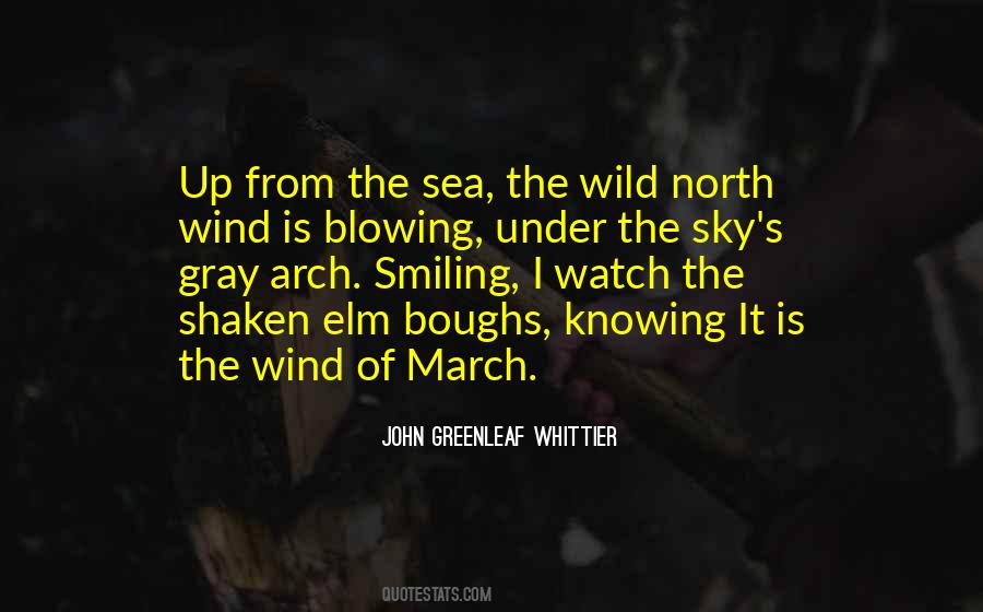 Quotes About The Gray Sky #983873