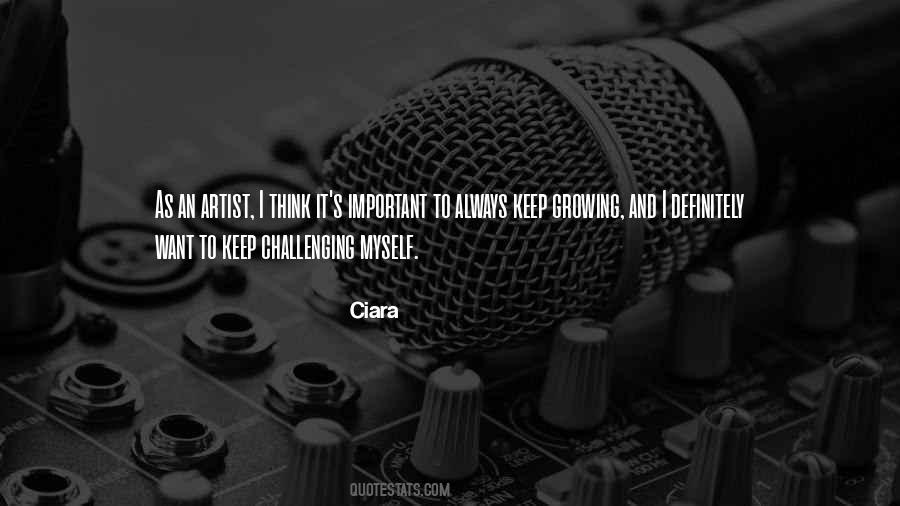 Keep Challenging Yourself Quotes #781276